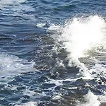 게스트하우스 Victoria Sinemorets 시네모레츠