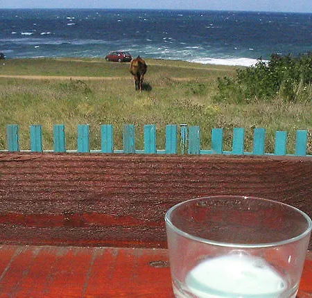 Pensiune Victoria Sinemorets 2*