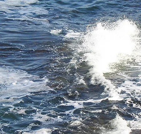 Pensiune Victoria Sinemorets Sinemoreț