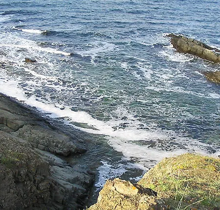 Victoria Sinemorets Sinemoreț