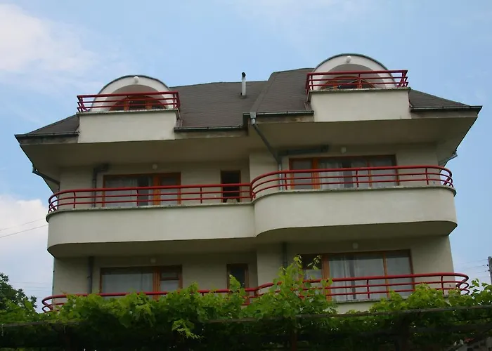 Victoria Sinemorets 辛尼莫雷特