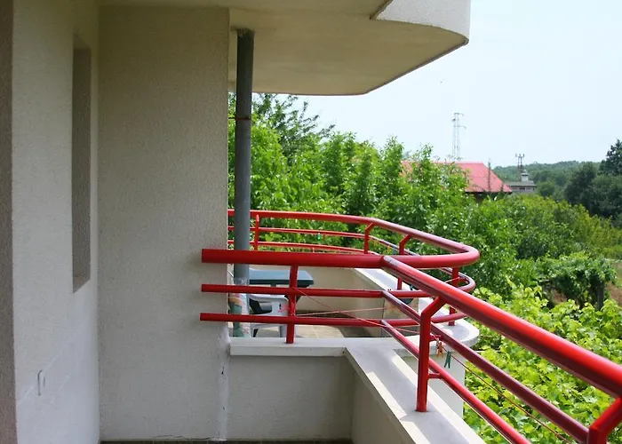 Victoria Sinemorets 辛尼莫雷特