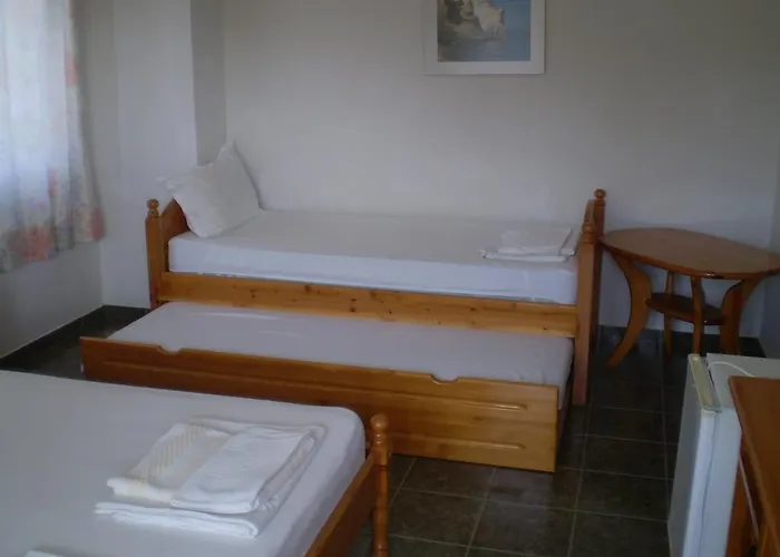 Victoria Sinemorets 辛尼莫雷特