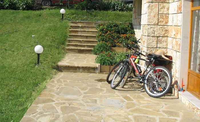 Victoria Sinemorets 辛尼莫雷特