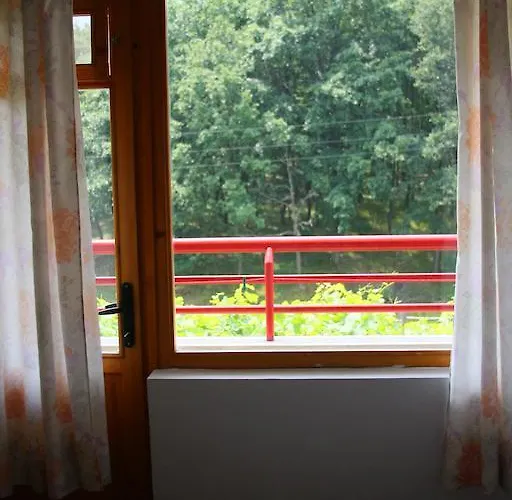 Victoria Sinemorets 辛尼莫雷特