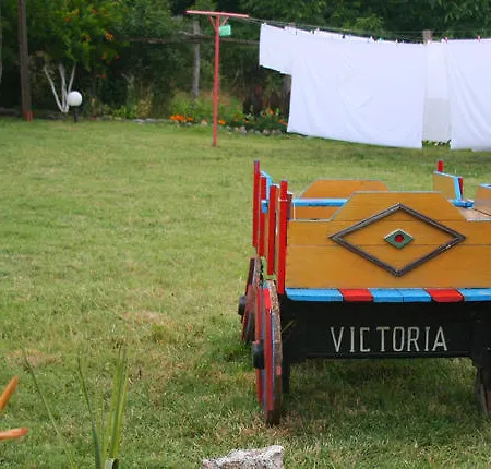 Victoria Sinemorets