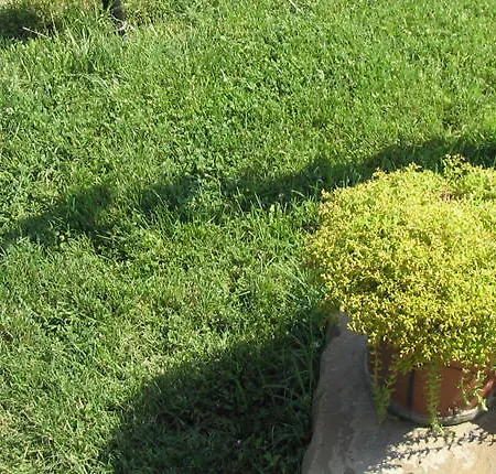 بيت ضيافة Victoria Sinemorets