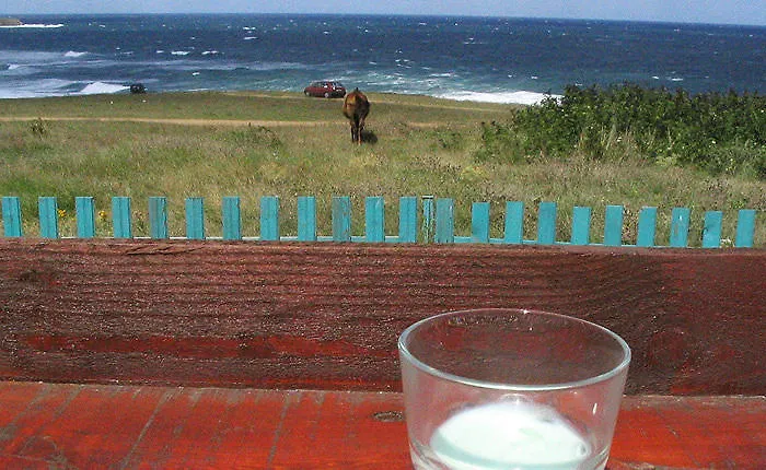 Vendégház Victoria Sinemorets 2*