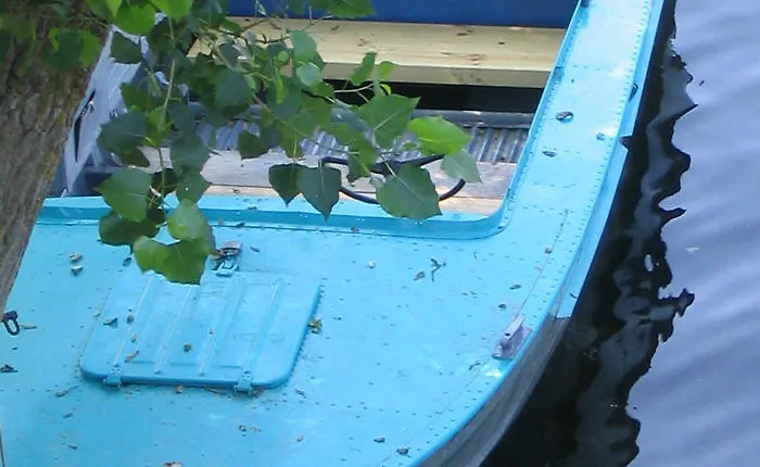 Vendégház Victoria Sinemorets